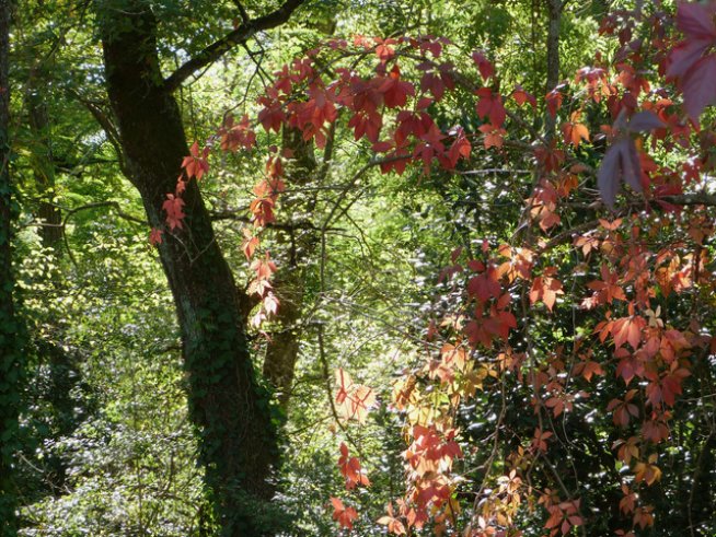 Снимка: Sxc.hu