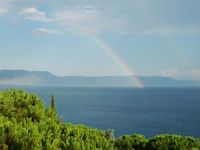 Снимка: Sxc.hu