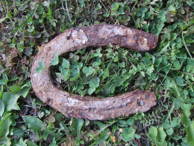 Снимка: Shc.hu