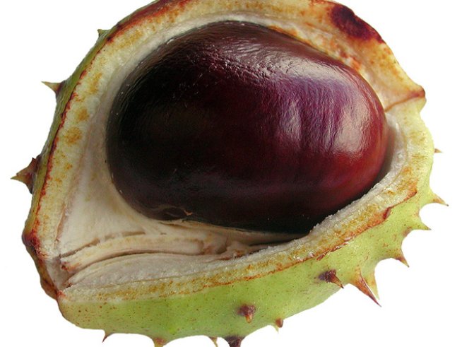 Снимка: Sxc.hu