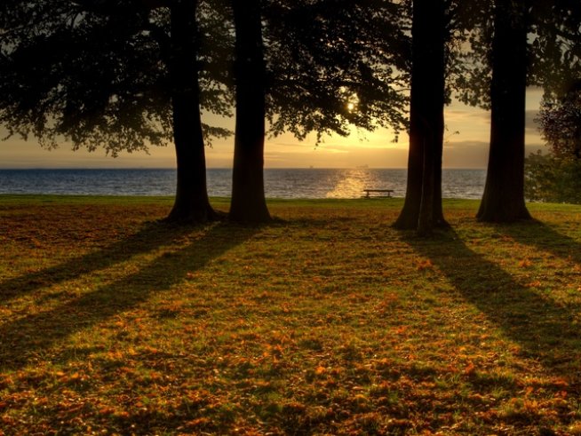 Снимка: Sxc.hu