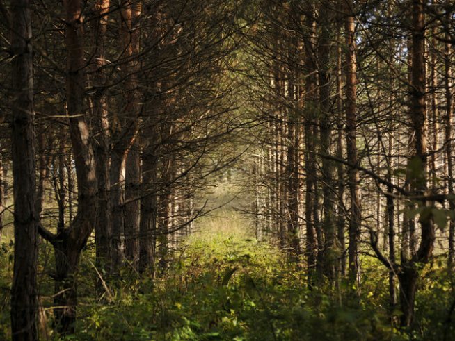 Снимка: Sxc.hu