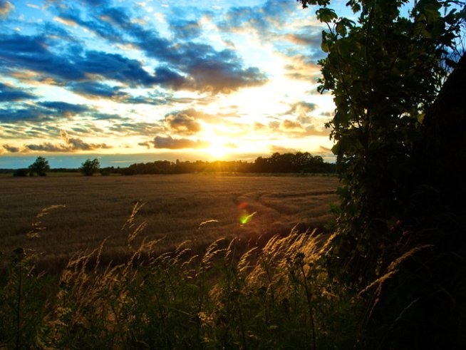 Снимка: Sxc.hu