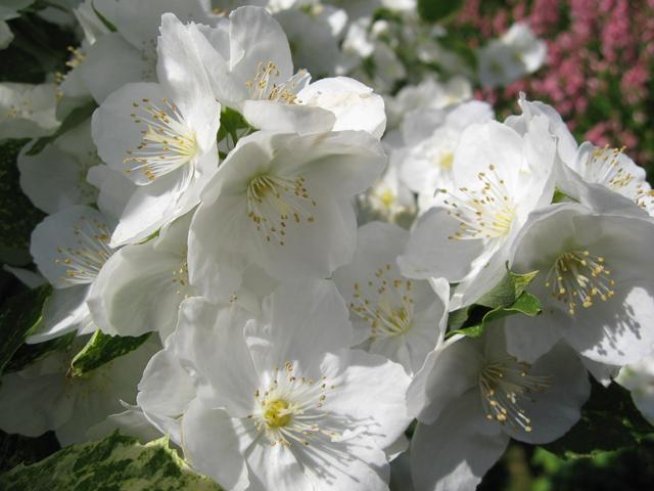 Снимка: Sxc.hu