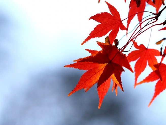 Снимка: Sxc.hu