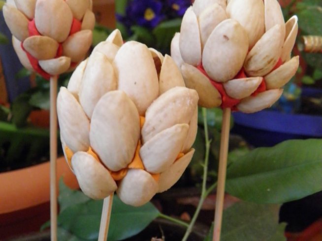 Снимка: Вергиния Генова