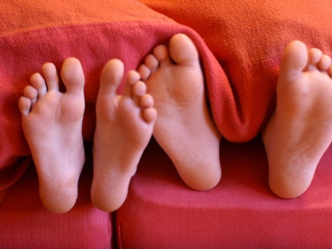 Снимка: sxc.hu