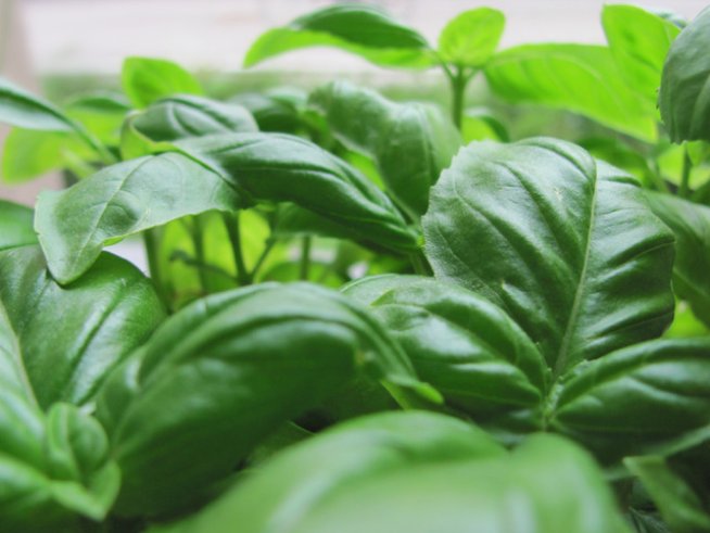 Снимка: Sxc.hu