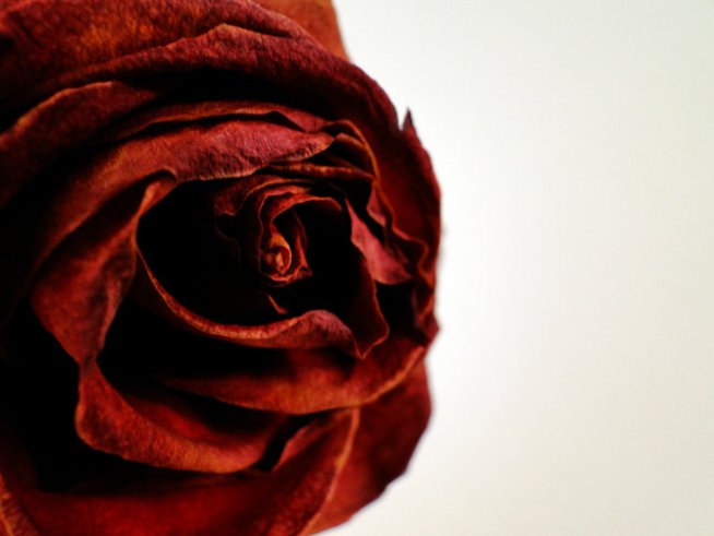 Снимка: Sxc.hu