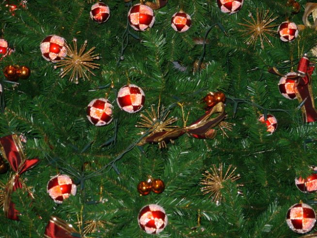 Снимка: Ивет Лолова