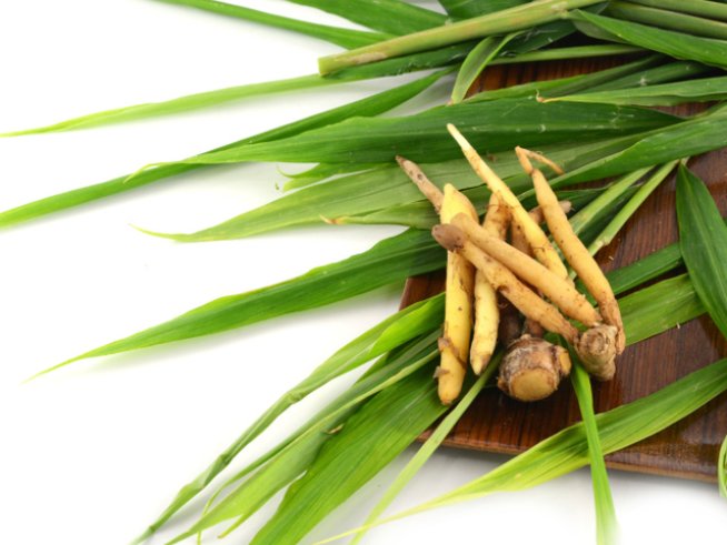 Снимка: Thinkstock