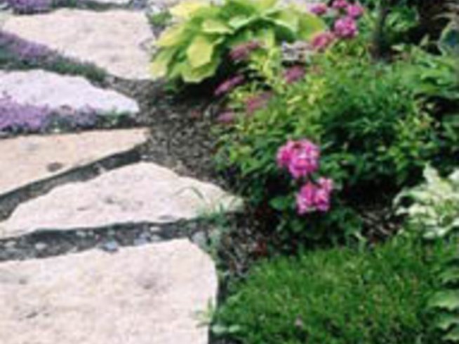 Цветният бордюр създава настроение