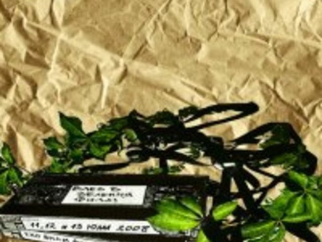 Еко филм фест и в Княжево