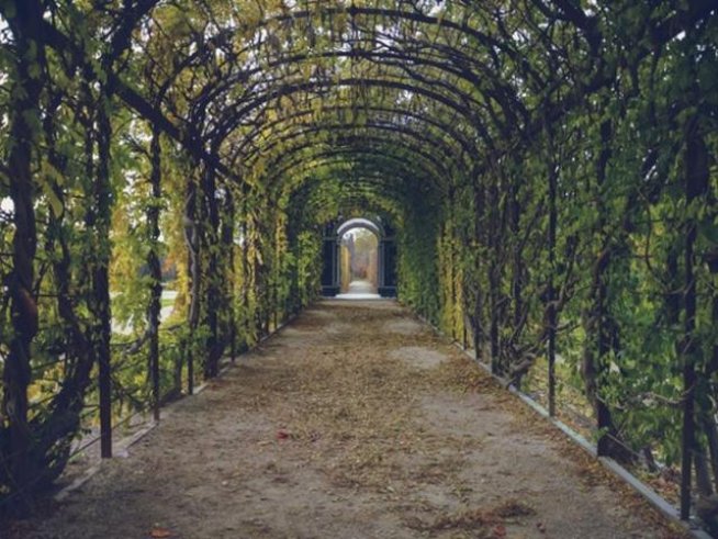 Снимка: pexels