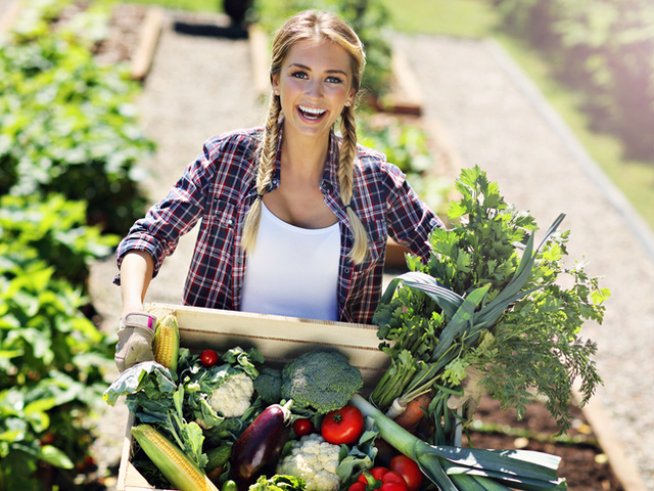 Снимка: istock