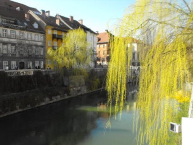 Пътувания: Любляна - малката столица в сърцето на Европа