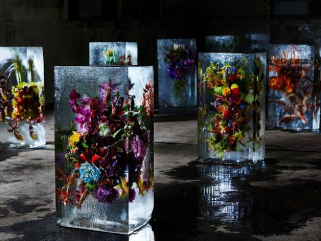 Снимка:  facebook Azuma Makoto