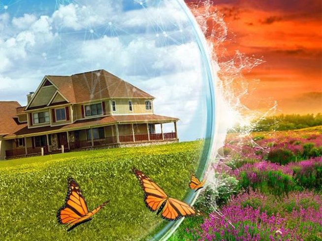 Корица: Издателство "Колибри"