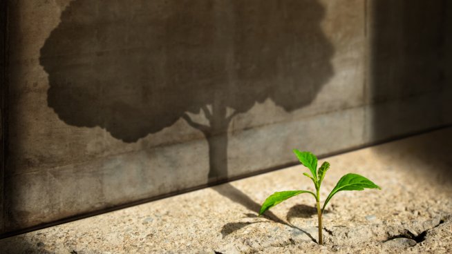 10 начина да сте по-добър човек всеки ден. Снимка: istock