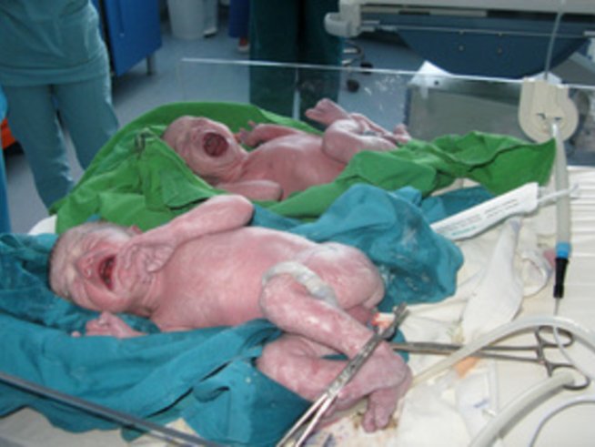 Снимка: Майчин дом