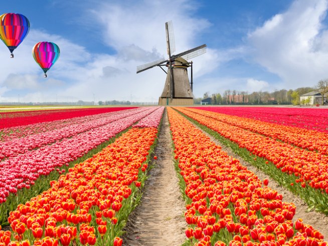 Снимка: istock