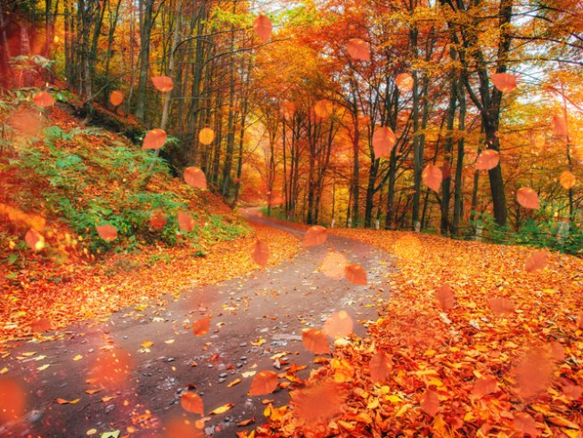 Снимка: istock