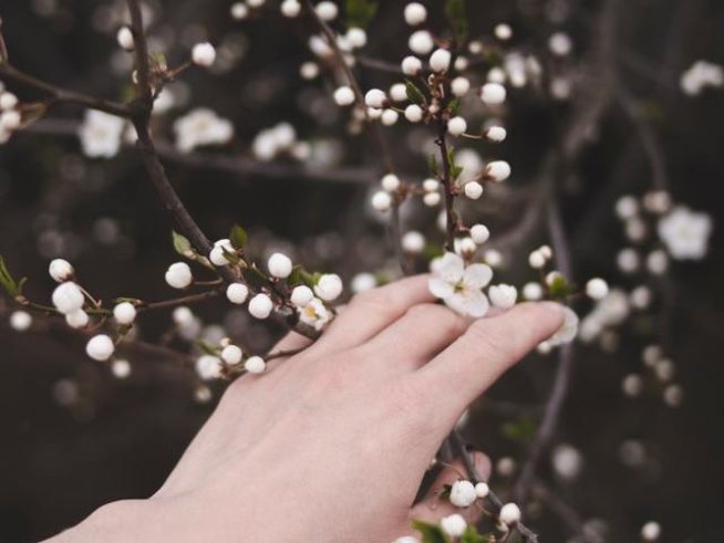 Снимка: pexels