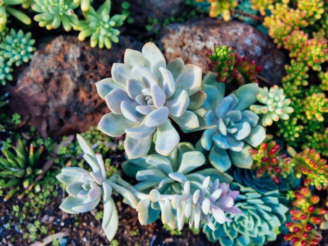 Снимка: istock