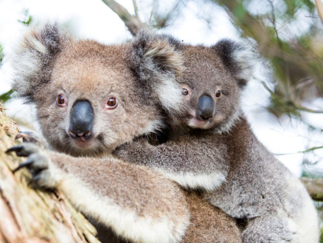 Снимка: istock