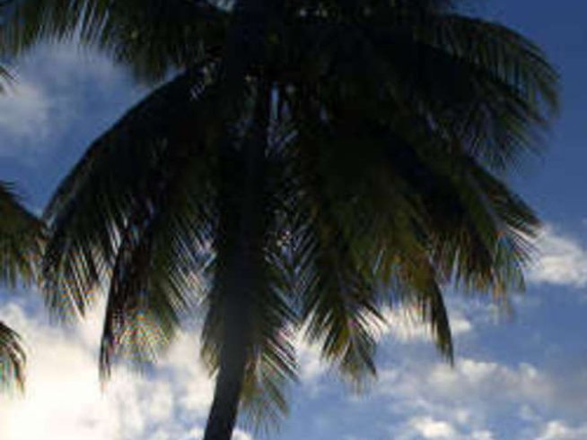 Домашен кокосов крем за ръце