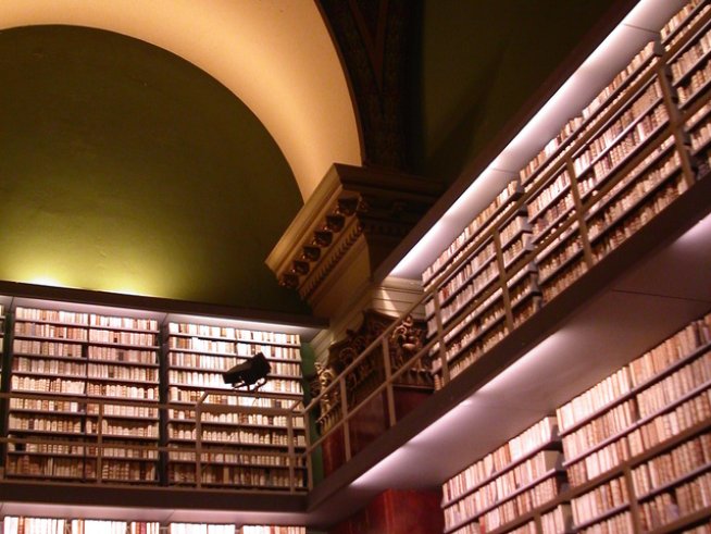 Снимка: freeimages