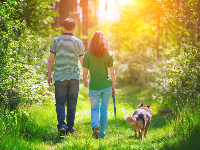 Снимка: istock