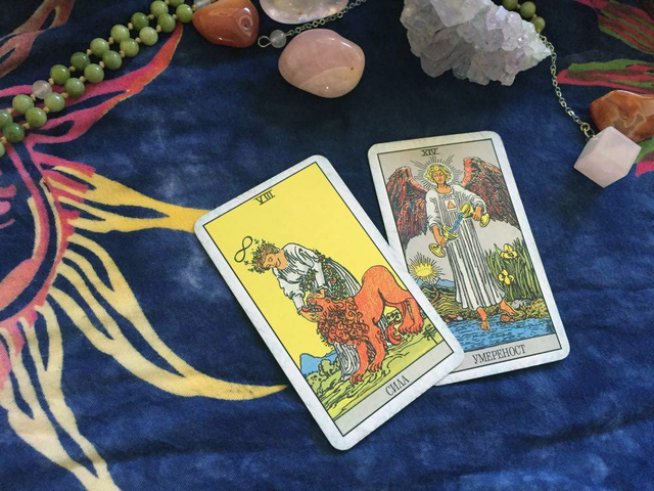 Снимка: Венета Евтимова