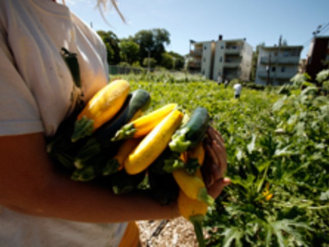 Маска от тиквички тонизира кожата