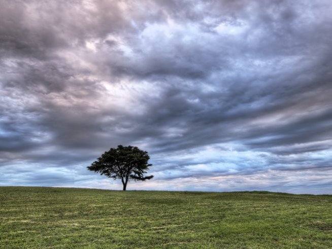 Снимка: Sxc.hu