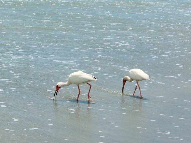 Снимка: Sxc.hu