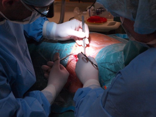 Снимка: Sxc.hu