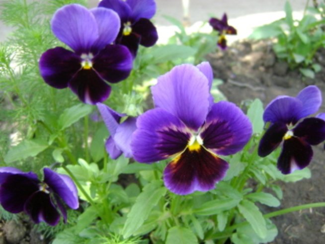 Туризъм, поезия и диета за почивните дни