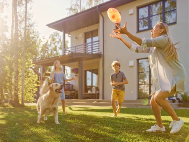 Снимка: istock