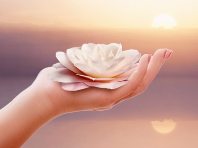 Снимка: pixabay