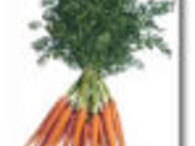 Сокът от моркови за лицето