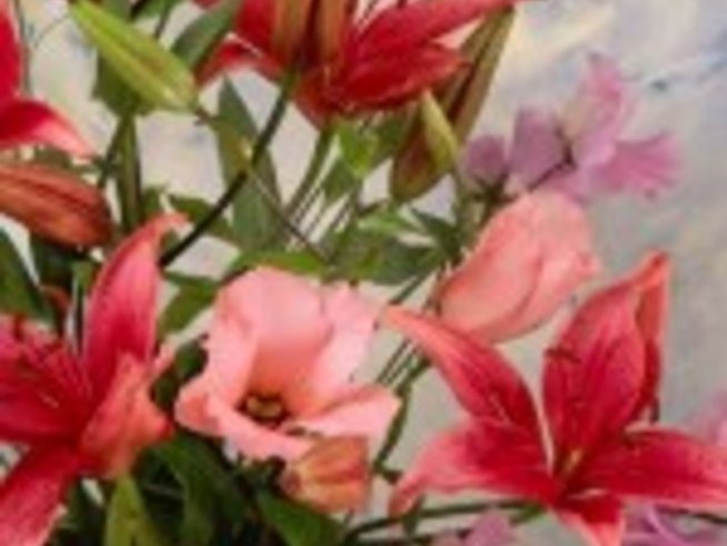 Честит имен ден на Вяра, Вера, Надежда, Любов, Надя, Любен, Любомира, Любомир, София