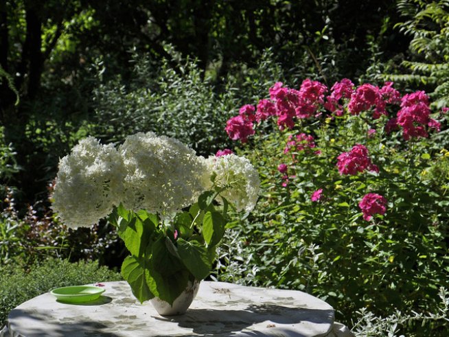 Снимка: Sxc.hu