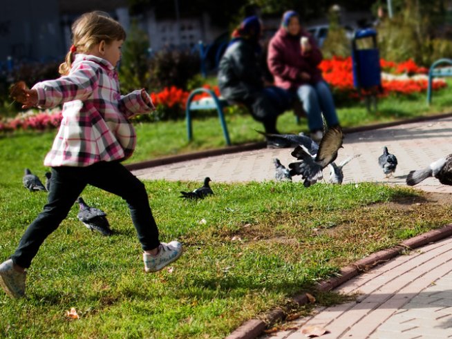 Снимка: Sxc.hu