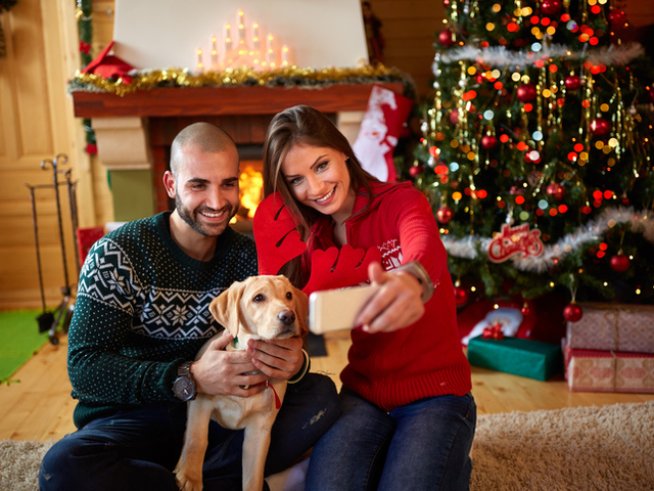 Снимка: istock