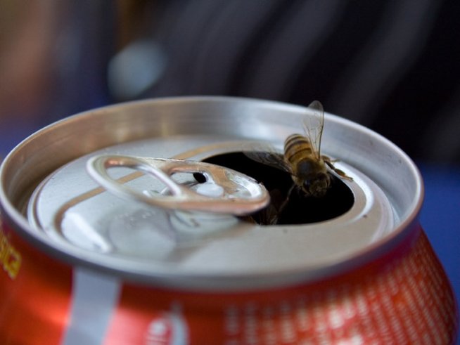 Снимка: Sxc.hu