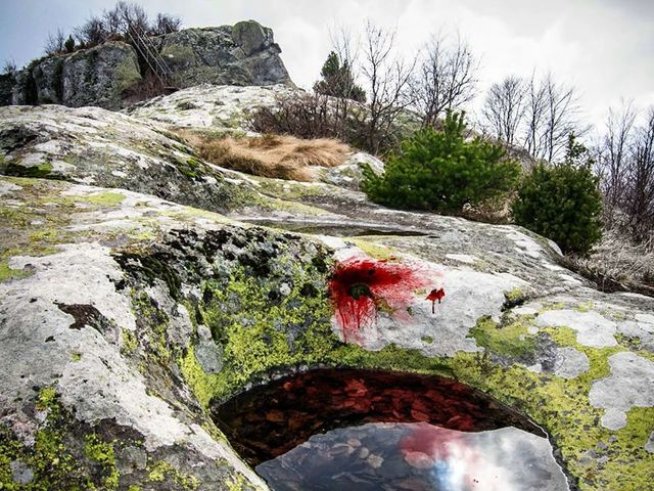 Снимка: Издателство "Колибри"