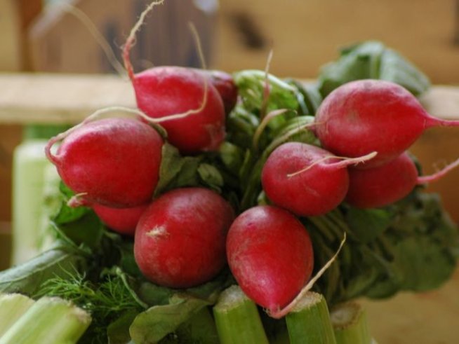 Снимка: Freeimages