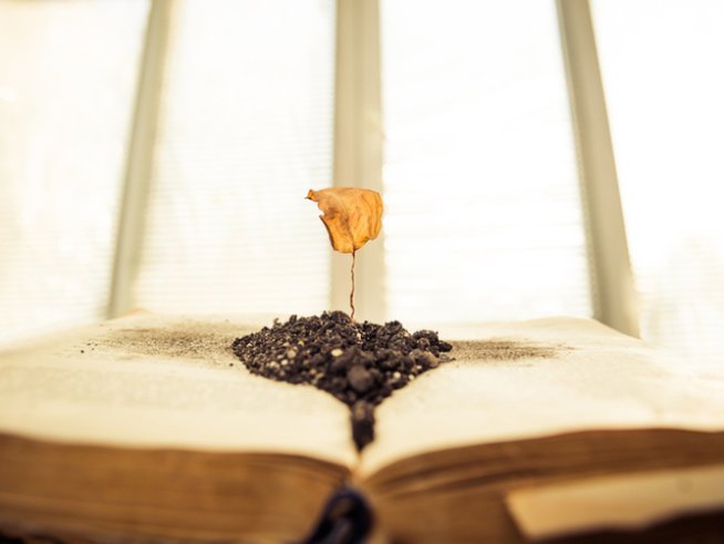 Снимка: istоck