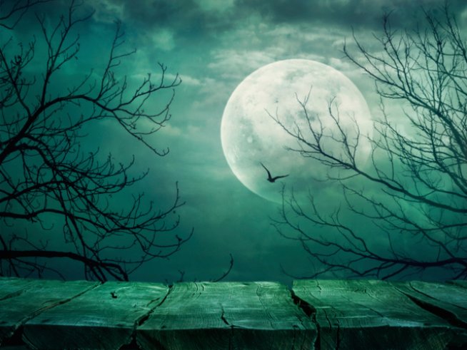 Снимка: thinkstock